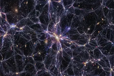 Do Dark Photons Hide an Invisible Universe?