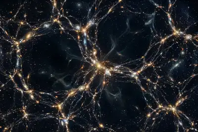 Cosmic Voids: Do They Hide Unseen Structures?